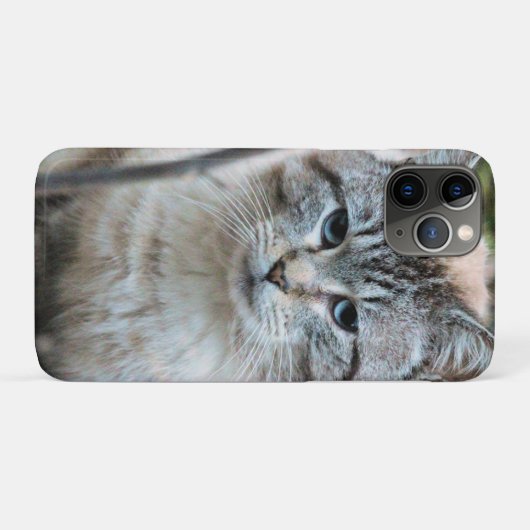 Kat Case-Mate iPhone Case (Achterkant (horizontaal))