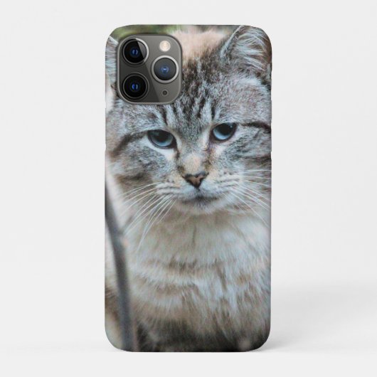 Kat Case-Mate iPhone Case (Achterkant)