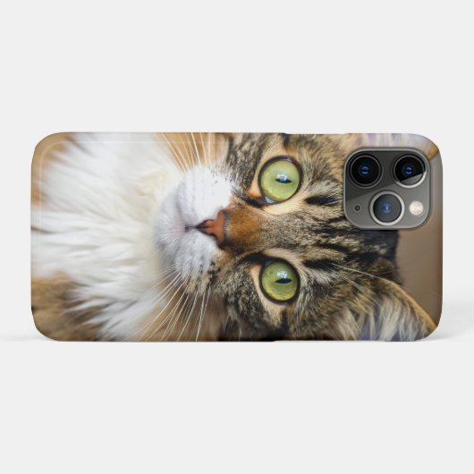 Kat Case-Mate iPhone Case (Achterkant (horizontaal))