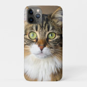 Kat Case-Mate iPhone Case (Achterkant)