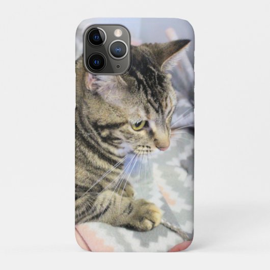 Kat Case-Mate iPhone Case (Achterkant)