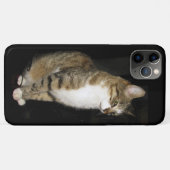 Kat Case-Mate iPhone Case (Achterkant (horizontaal))