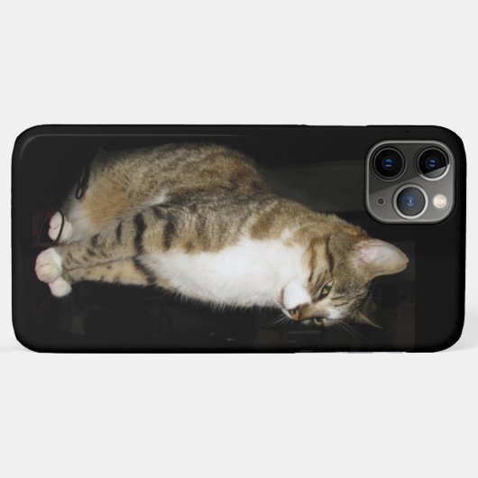 Kat Case-Mate iPhone Case (Achterkant (horizontaal))