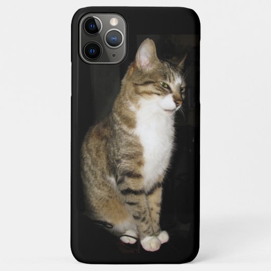 Kat Case-Mate iPhone Case (Achterkant)