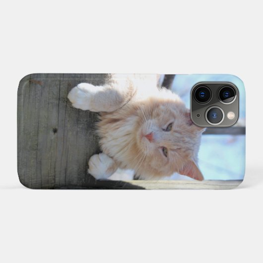 Kat Case-Mate iPhone Case (Achterkant (horizontaal))