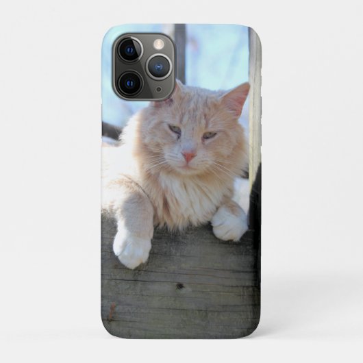 Kat Case-Mate iPhone Case (Achterkant)