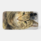 Kat Case-Mate iPhone Case (Achterkant (horizontaal))