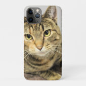 Kat Case-Mate iPhone Case (Achterkant)