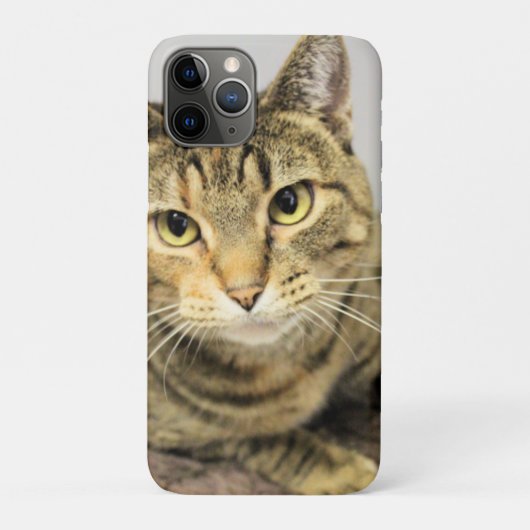 Kat Case-Mate iPhone Case (Achterkant)