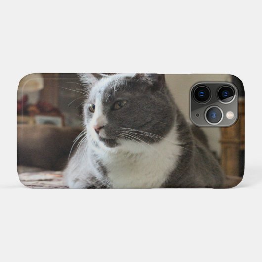 Kat Case-Mate iPhone Case (Achterkant (horizontaal))