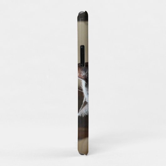 Kat Case-Mate iPhone Case (Achterkant/rechts)