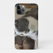 Kat Case-Mate iPhone Case (Achterkant)