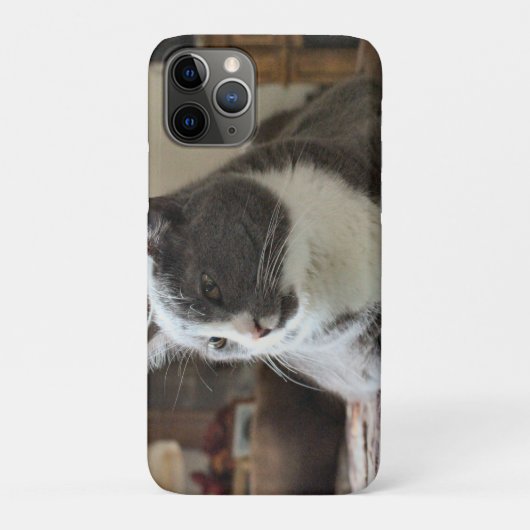 Kat Case-Mate iPhone Case (Achterkant)