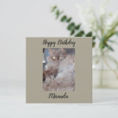 Kat Cat Flat Birthday-kaart Kaart (Staand voorkant)