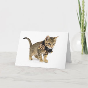 Kat Cat Leopard Print Collar Birthday Card Kaart