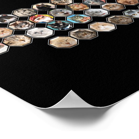 Kat Chemistry Pun Periodic Table Purriodia Poster (Hoek)