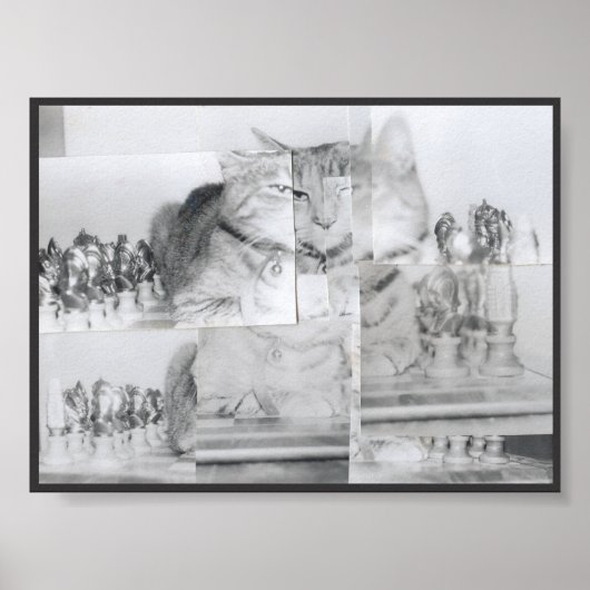 Kat Chess Poster (Voorkant)
