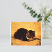 kat-clip-art-11 briefkaart (Staand voorkant)