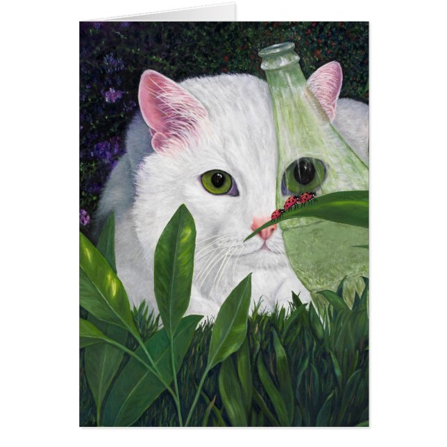 Kat, cokes flesje en ladybugs (Voorkant)