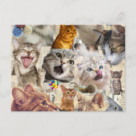 Kat Collage Briefkaart