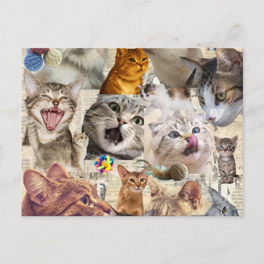 Kat Collage Briefkaart (Voorkant)