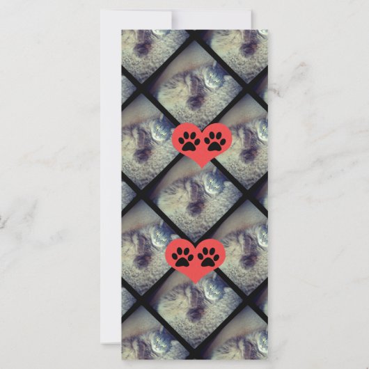 Kat Collage met PawPrints van Shirley Taylor (Achterkant)