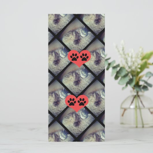 Kat Collage met PawPrints van Shirley Taylor (Staand voorkant)