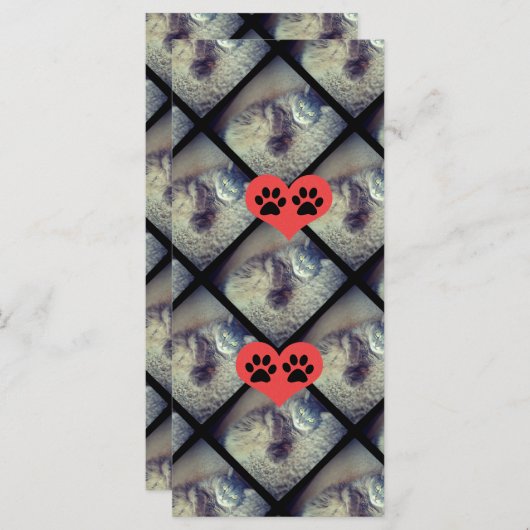 Kat Collage met PawPrints van Shirley Taylor (Voorkant / Achterkant)