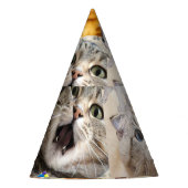 Kat Collage / Montage van Katten Papieren Feesthoe Feesthoedjes (Voorkant)