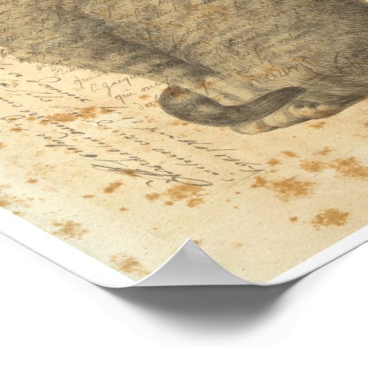  kat collage poster (Hoek)