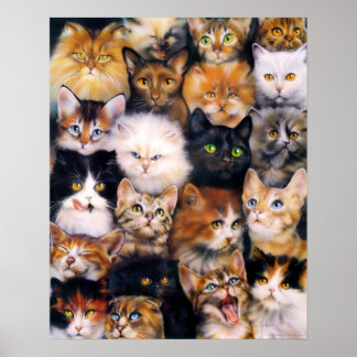 Kat Collage Poster