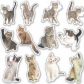 Kat Collectie Stickers (Voorkant)