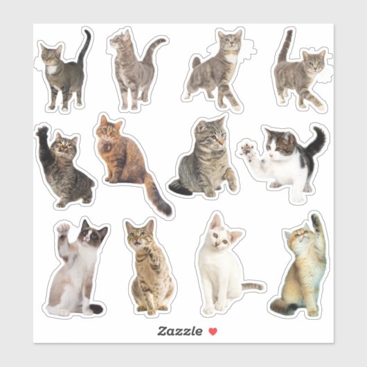 Kat Collectie Stickers (Vel)