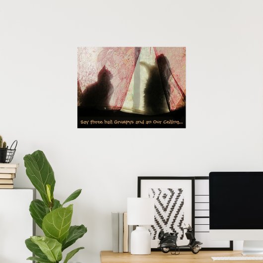 Kat Confessies Poster (Thuiskantoor)