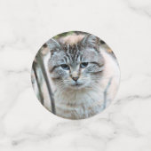 Kat Confetti (Kleine voorkant)