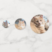 Kat Confetti (Achterkanten)