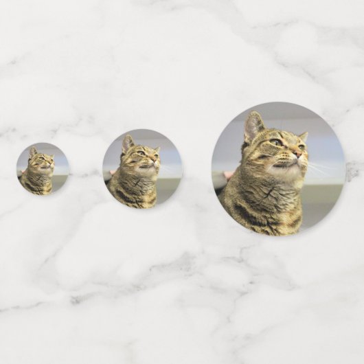 Kat Confetti (Achterkanten)