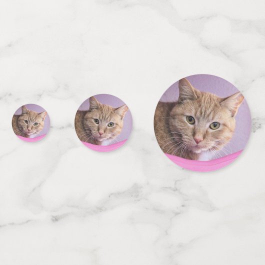 Kat Confetti (Voorkanten)