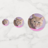 Kat Confetti (Achterkanten)