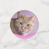 Kat Confetti (Kleine voorkant)