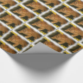 Kat-"COOL CAT"-opvulpapier Cadeaupapier (Hoek)