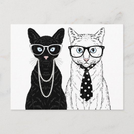 Kat Couple Briefkaart (Voorkant)