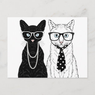 Kat Couple Briefkaart