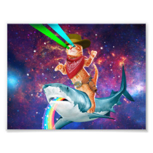 Kat Cowboy die een haai met een regenboog beweegt Foto Afdruk