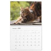 kat Cute Grappige Katten Schattige Kitten Huisdier Kalender (Jan 2027)