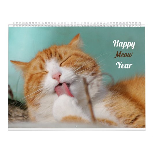 kat Cute Grappige Katten Schattige Kitten Huisdier Kalender (Hoes)