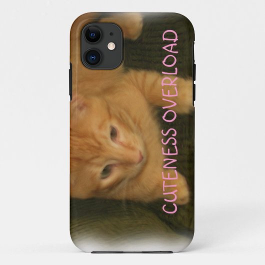 Kat "CUTENESS OVERLOAD" iPhone 5 Hoesje (Achterkant)