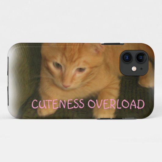 Kat "CUTENESS OVERLOAD" iPhone 5 Hoesje (Achterkant (horizontaal))