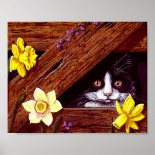 Kat Daffodils Barn Originele Kunstkunst Poster