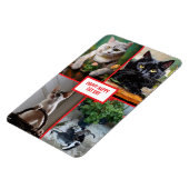 kat dag magneet (Linkerzijde)